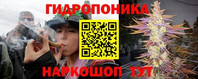 таблы Бийск