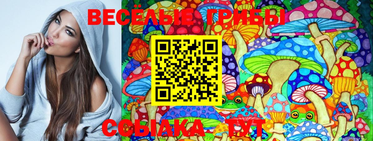 Галлюциногенные грибы Cubensis  Вход с VPN  Ирбит 