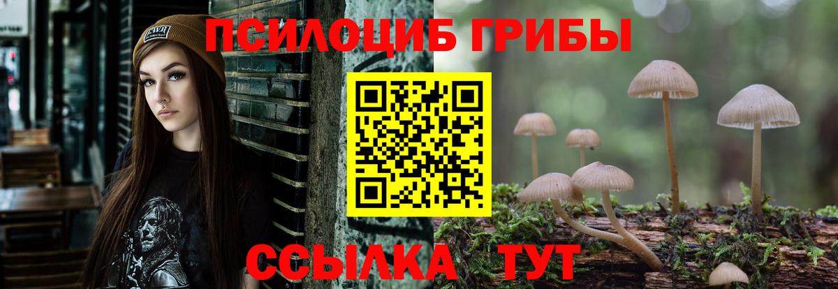Псилоцибиновые грибы мицелий Ирбит